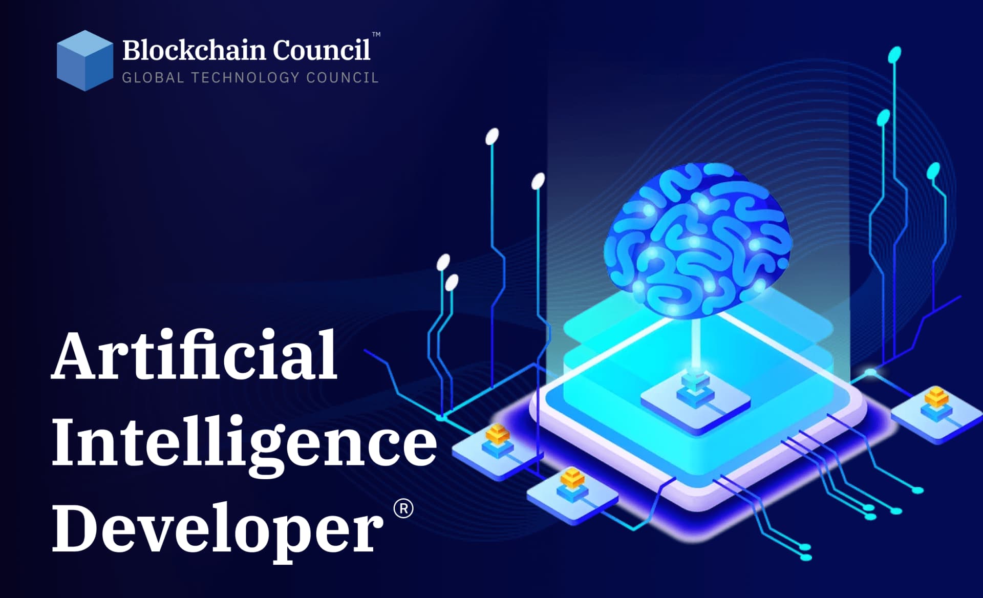 Certified Artificial Intelligence (AI) Developer