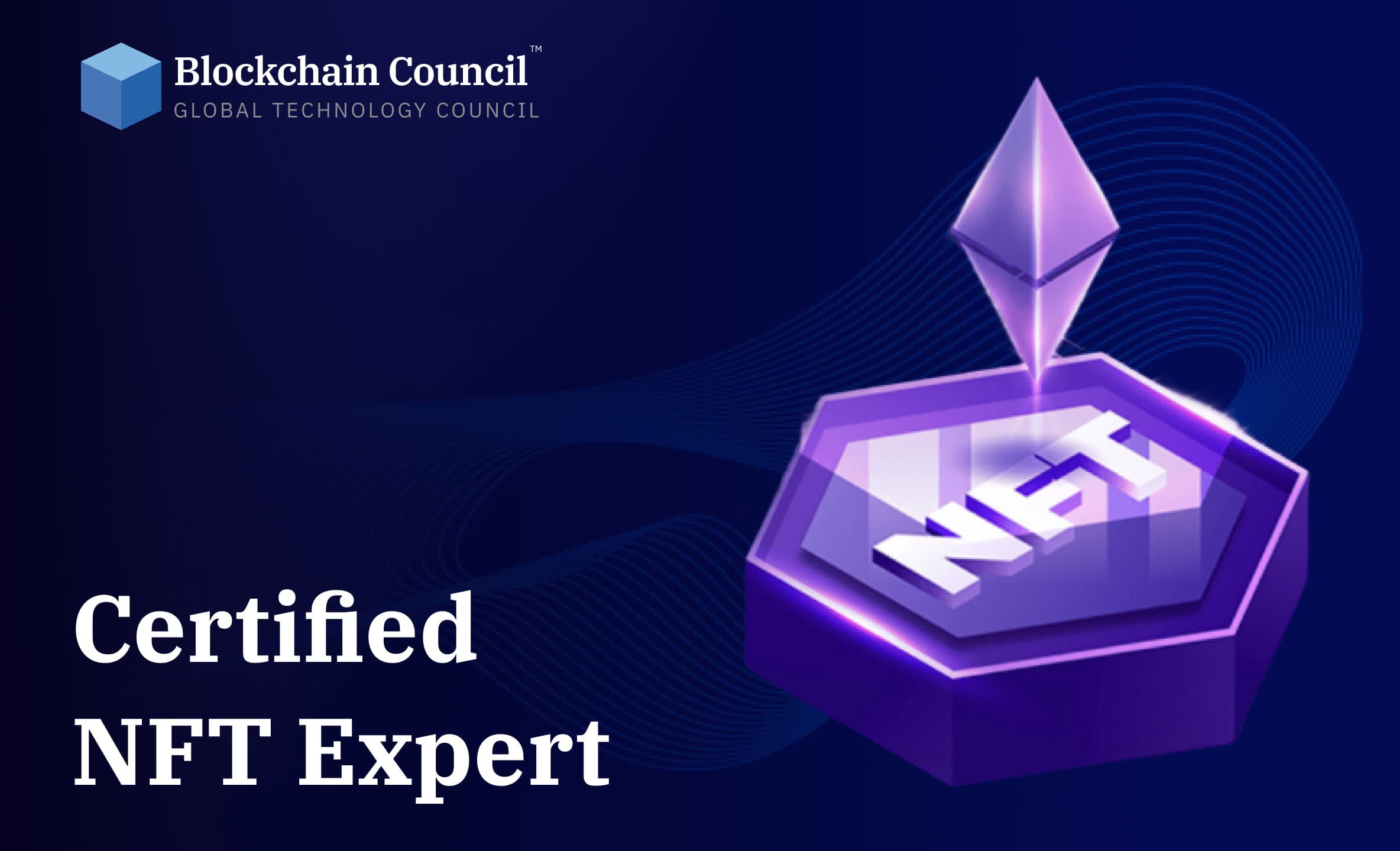 Professional holding blockchain certification
