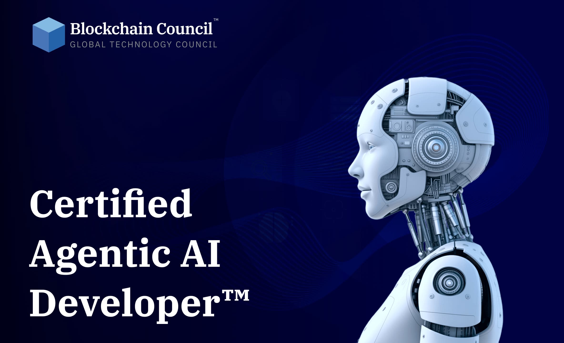 Certified Agentic AI Developer certification preview