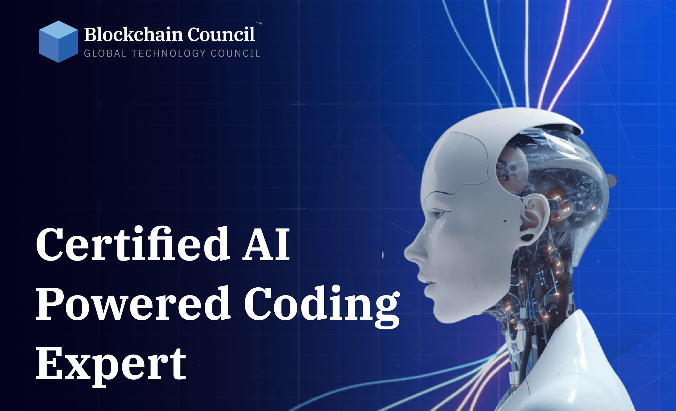 Certified AI Powered Coding Expert certification preview