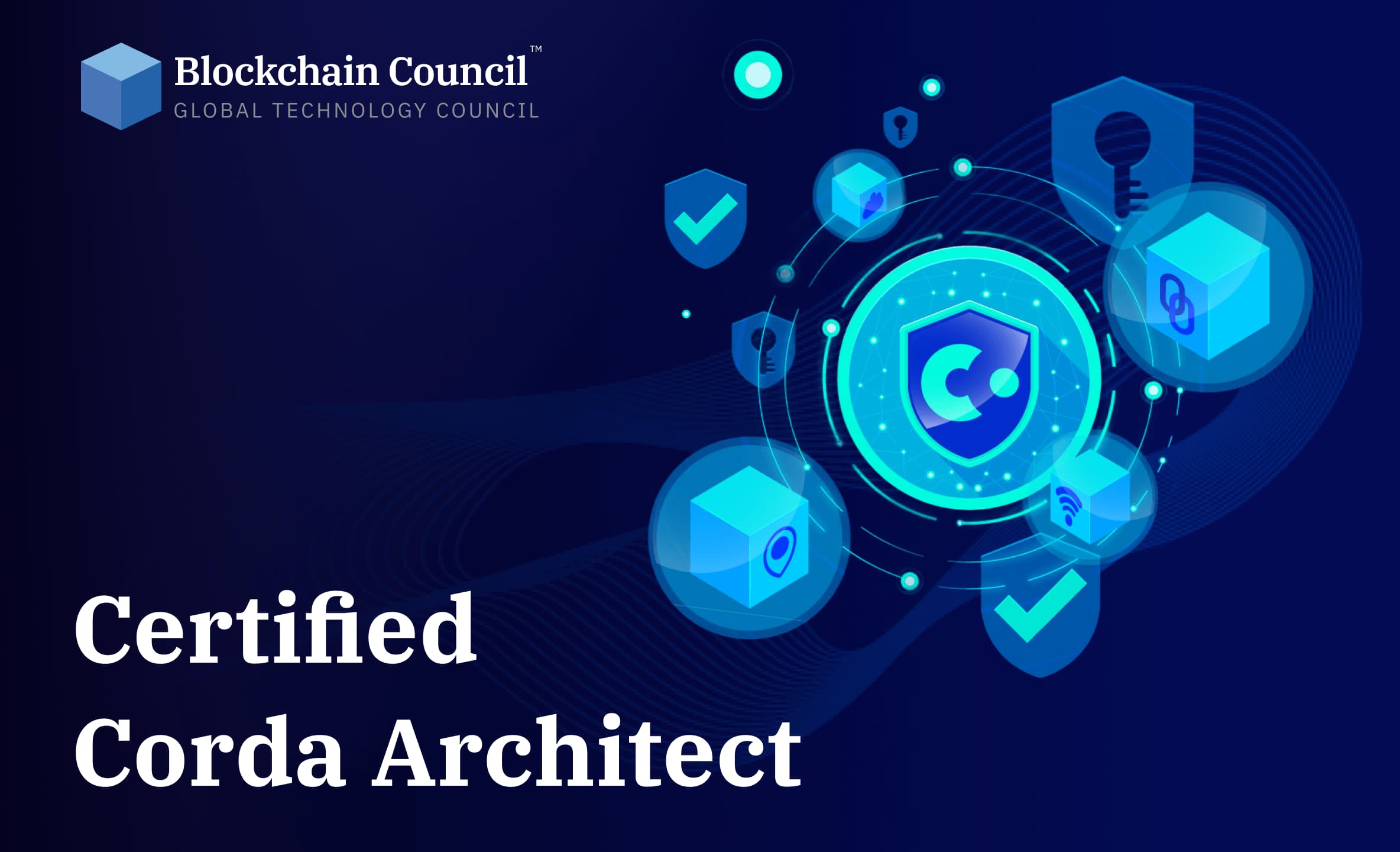 Professional holding blockchain certification