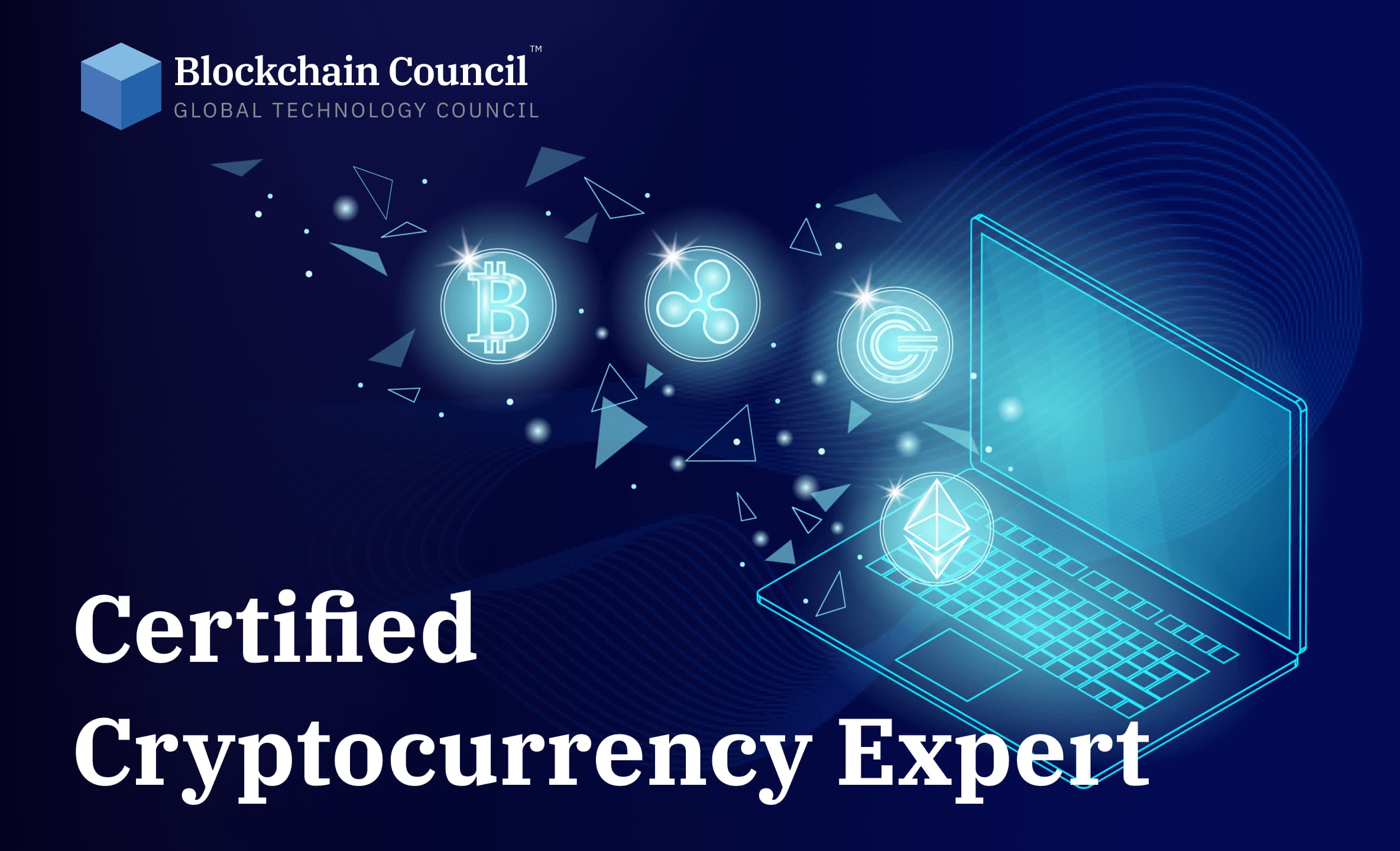 Professional holding blockchain certification