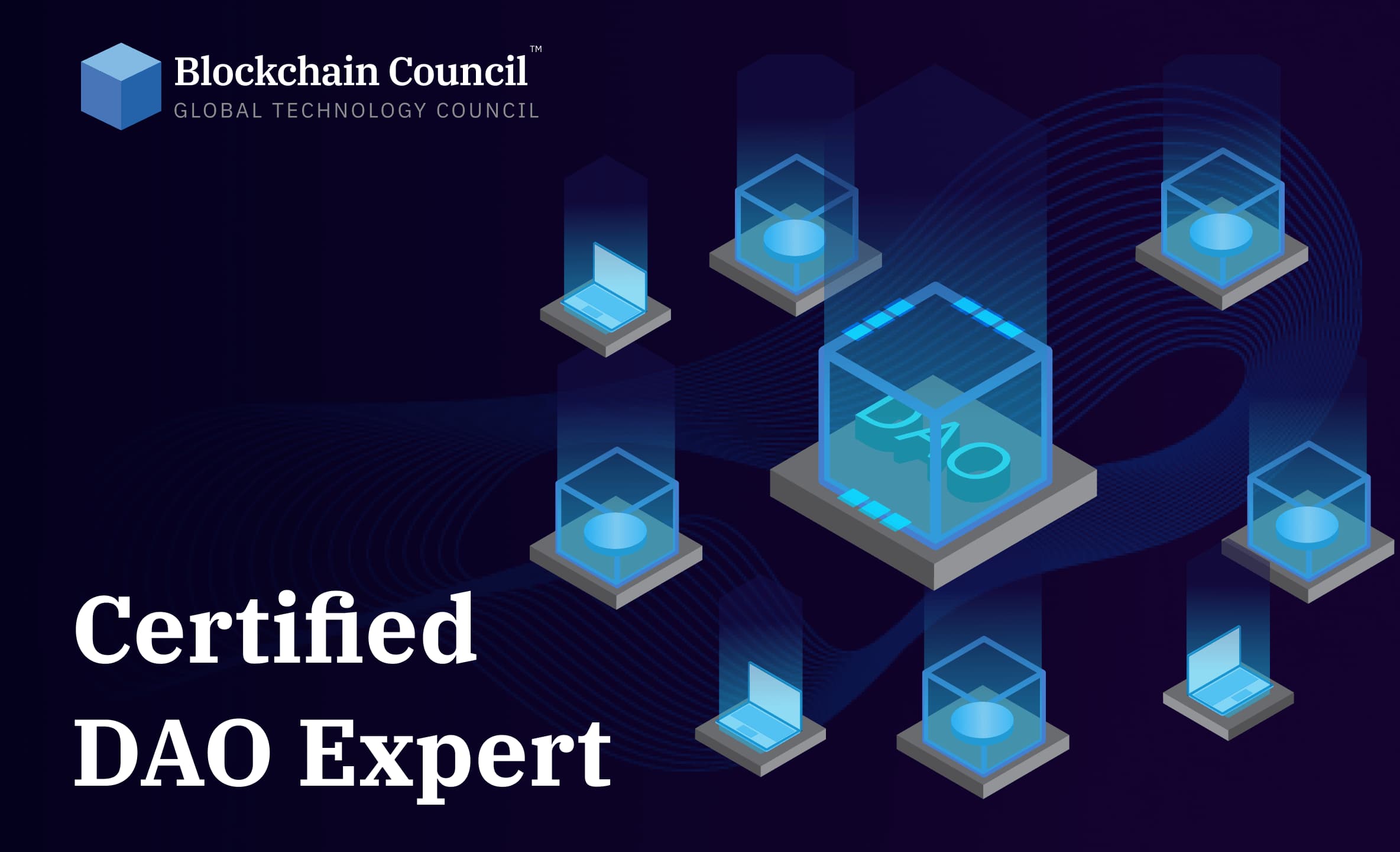 Professional holding blockchain certification