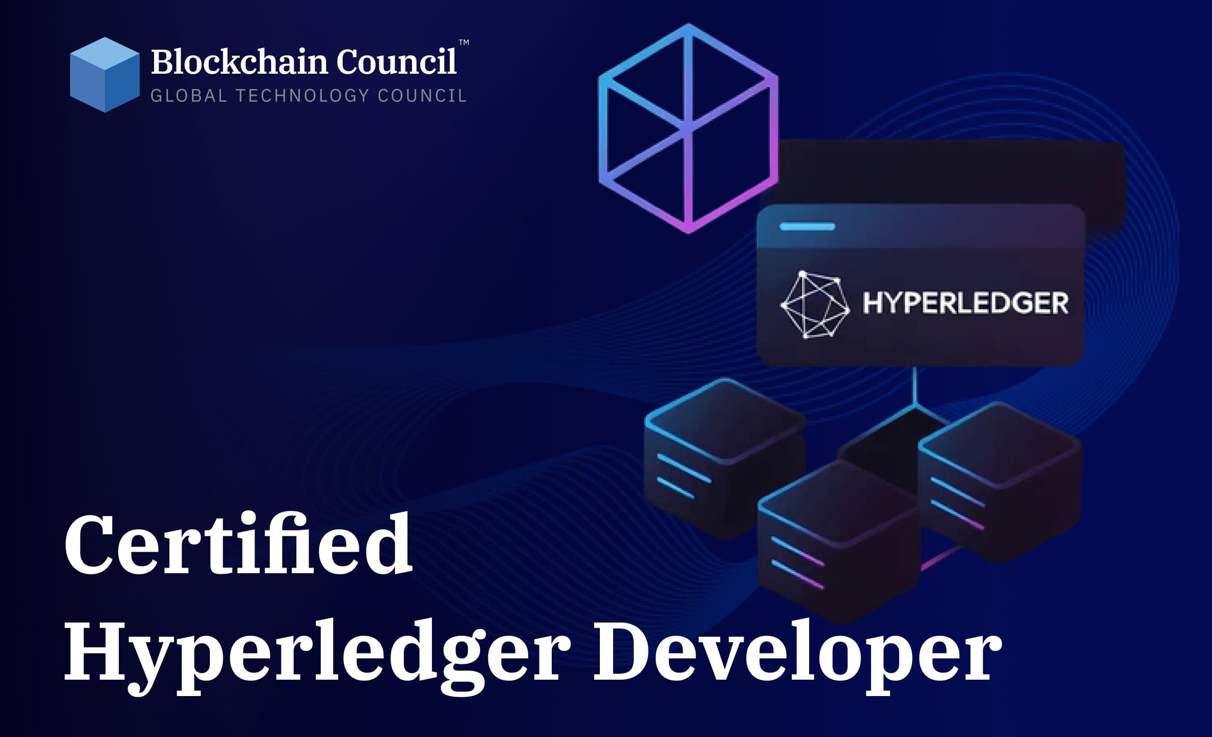 Professional holding blockchain certification