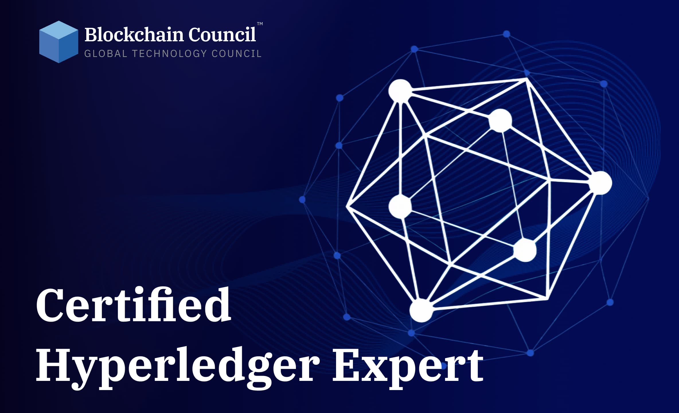 Professional holding blockchain certification
