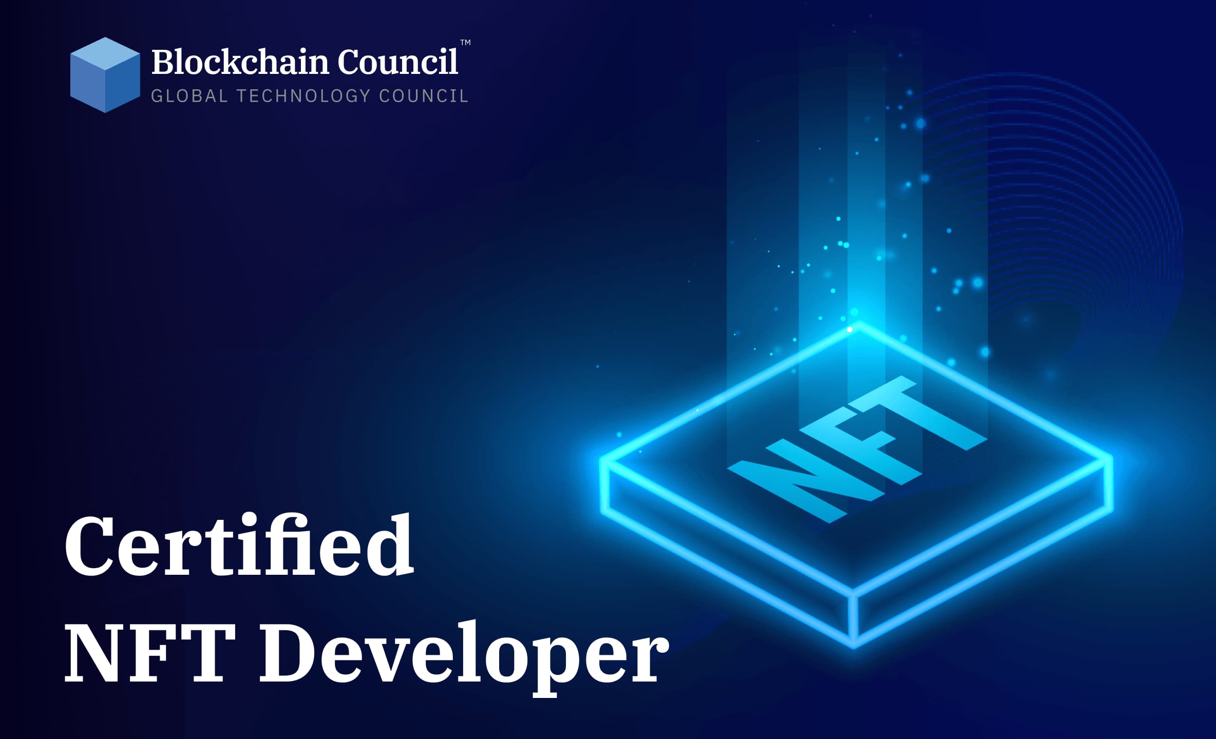 Professional holding blockchain certification