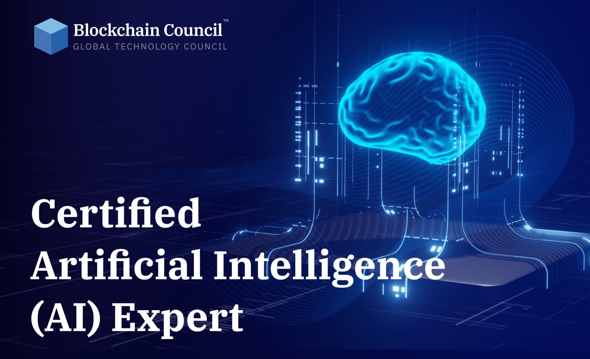 Certified Artificial Intelligence (AI) Expert™ Interactive Live Training