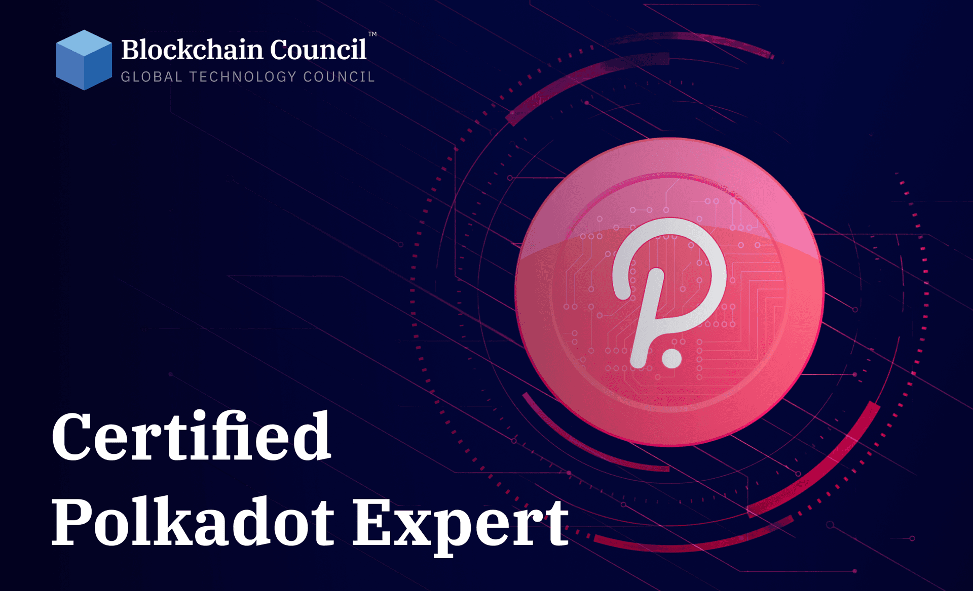 Certified Polkadot Expert