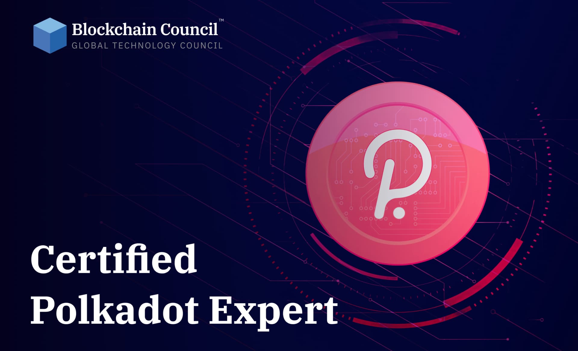Certified Polkadot Expert™