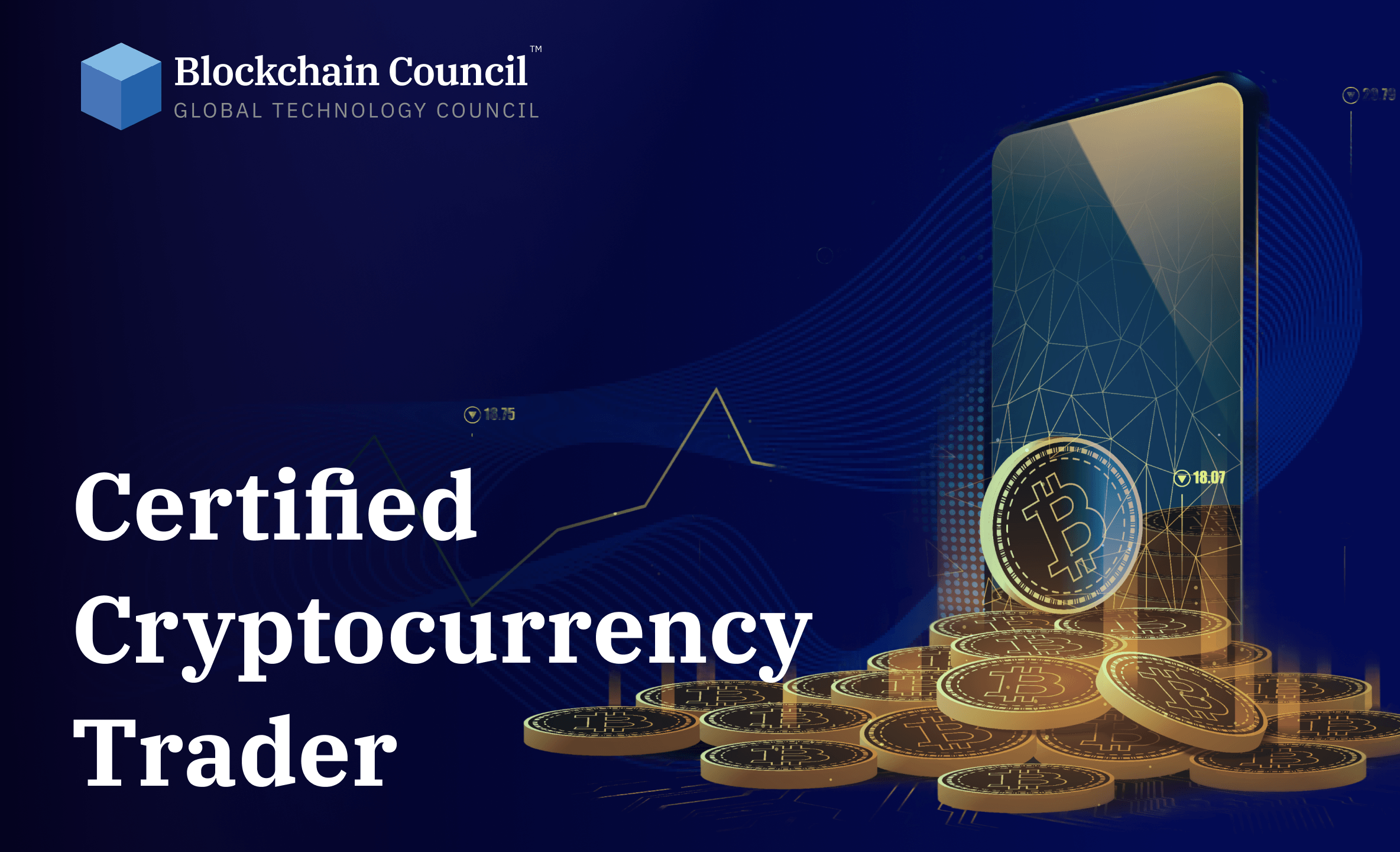 Professional holding blockchain certification