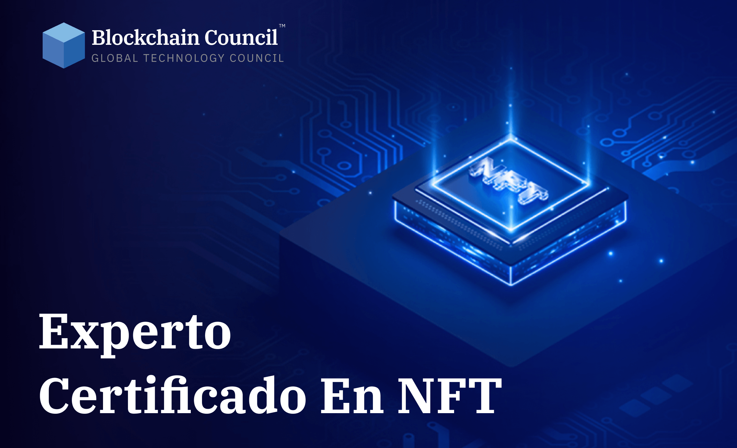 Professional holding blockchain certification