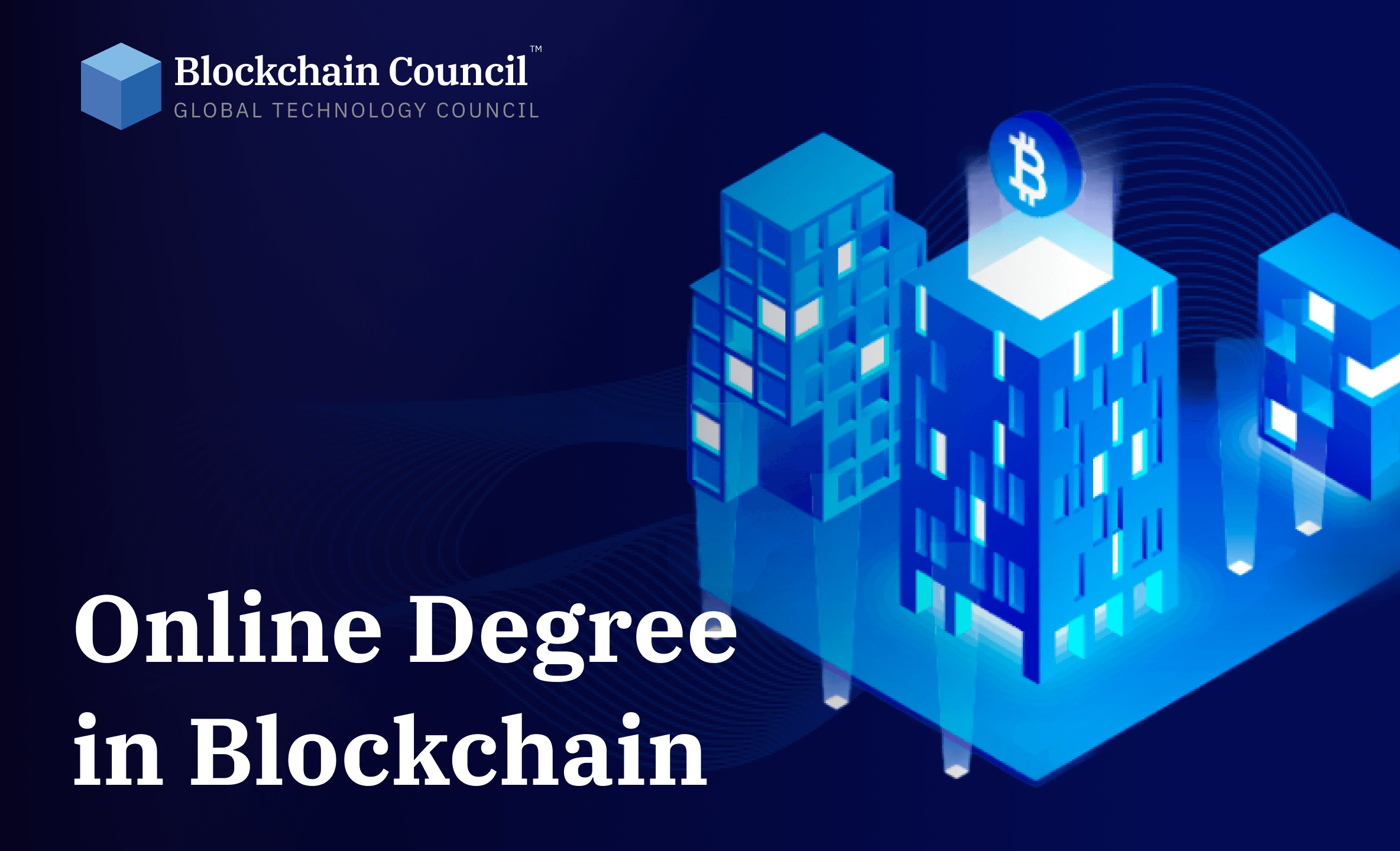 Professional holding blockchain certification