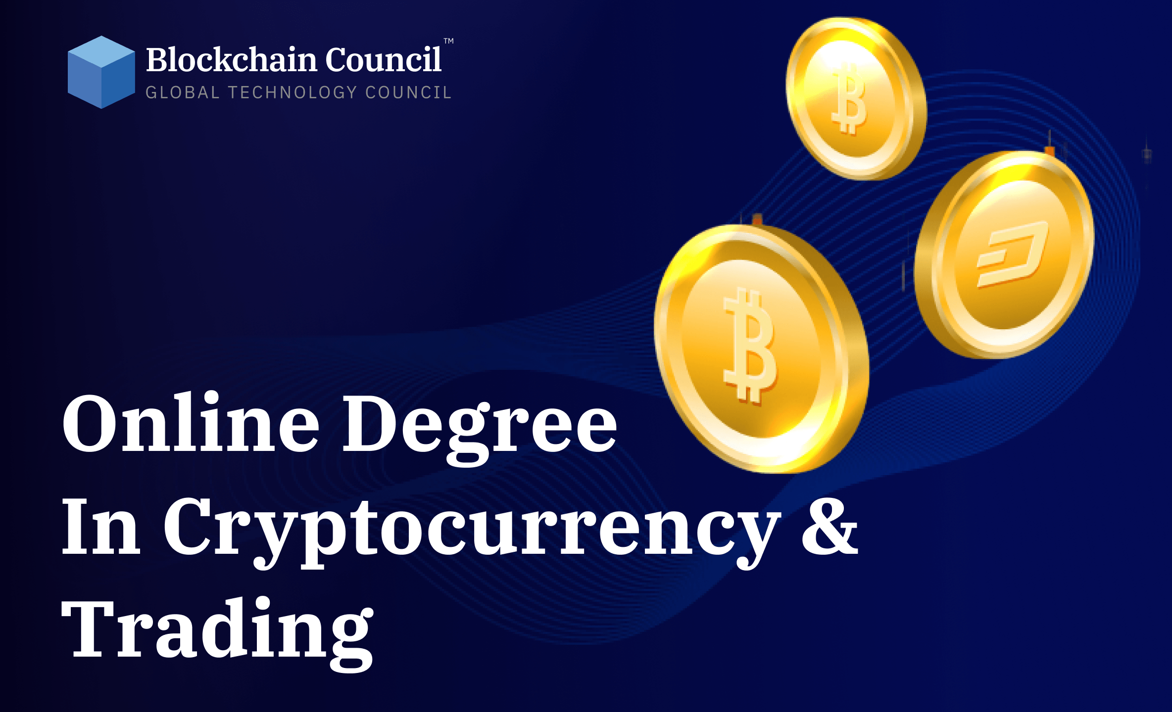 Professional holding blockchain certification