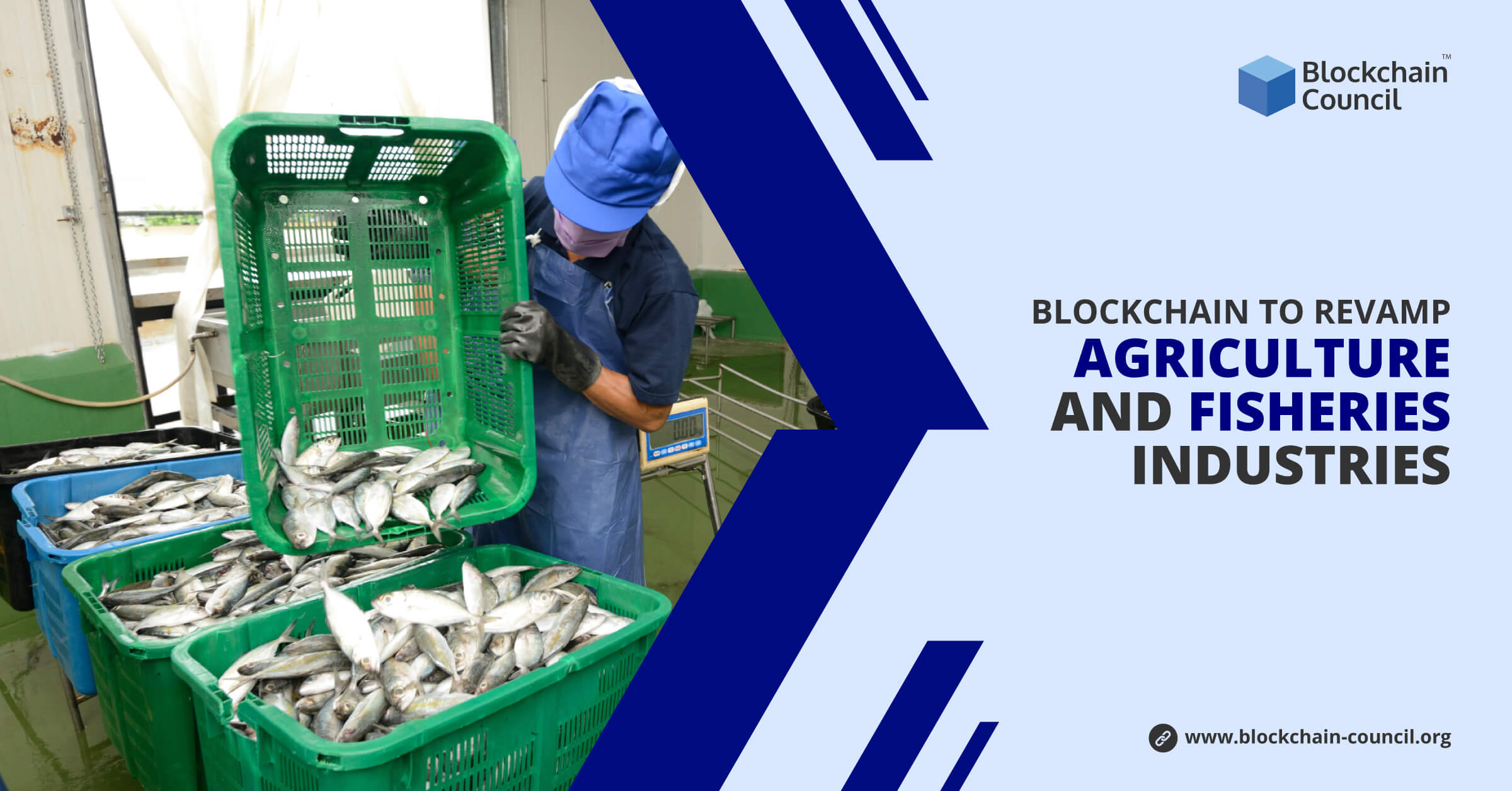 Blockchain-to-Revamp-Agriculture-and-Fisheries-Industries