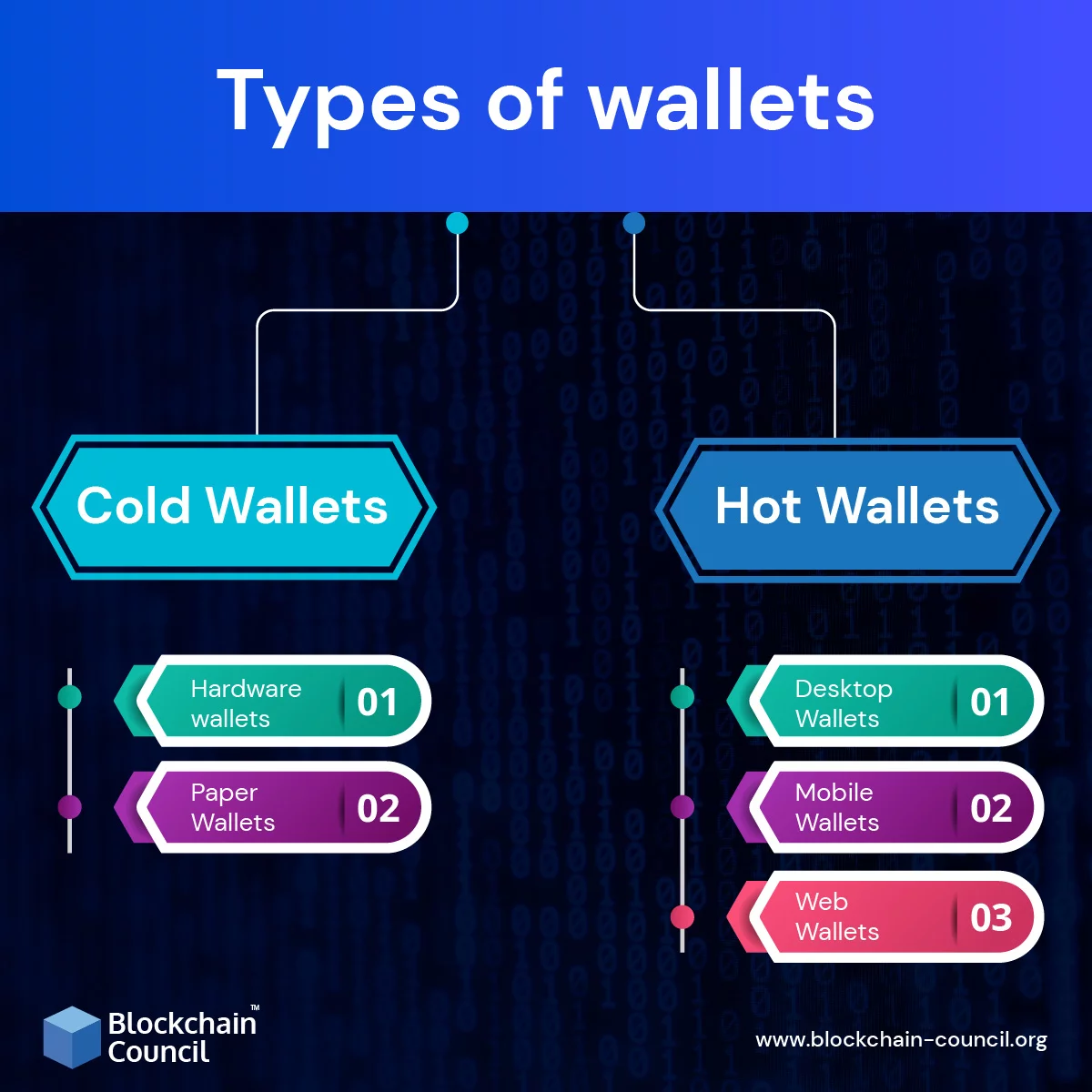 Types of Crypto Wallets Explained
