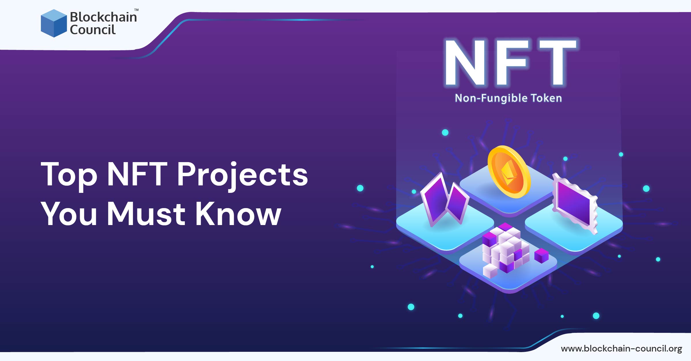 Top NFT Projects You Must Know Blockchain Council