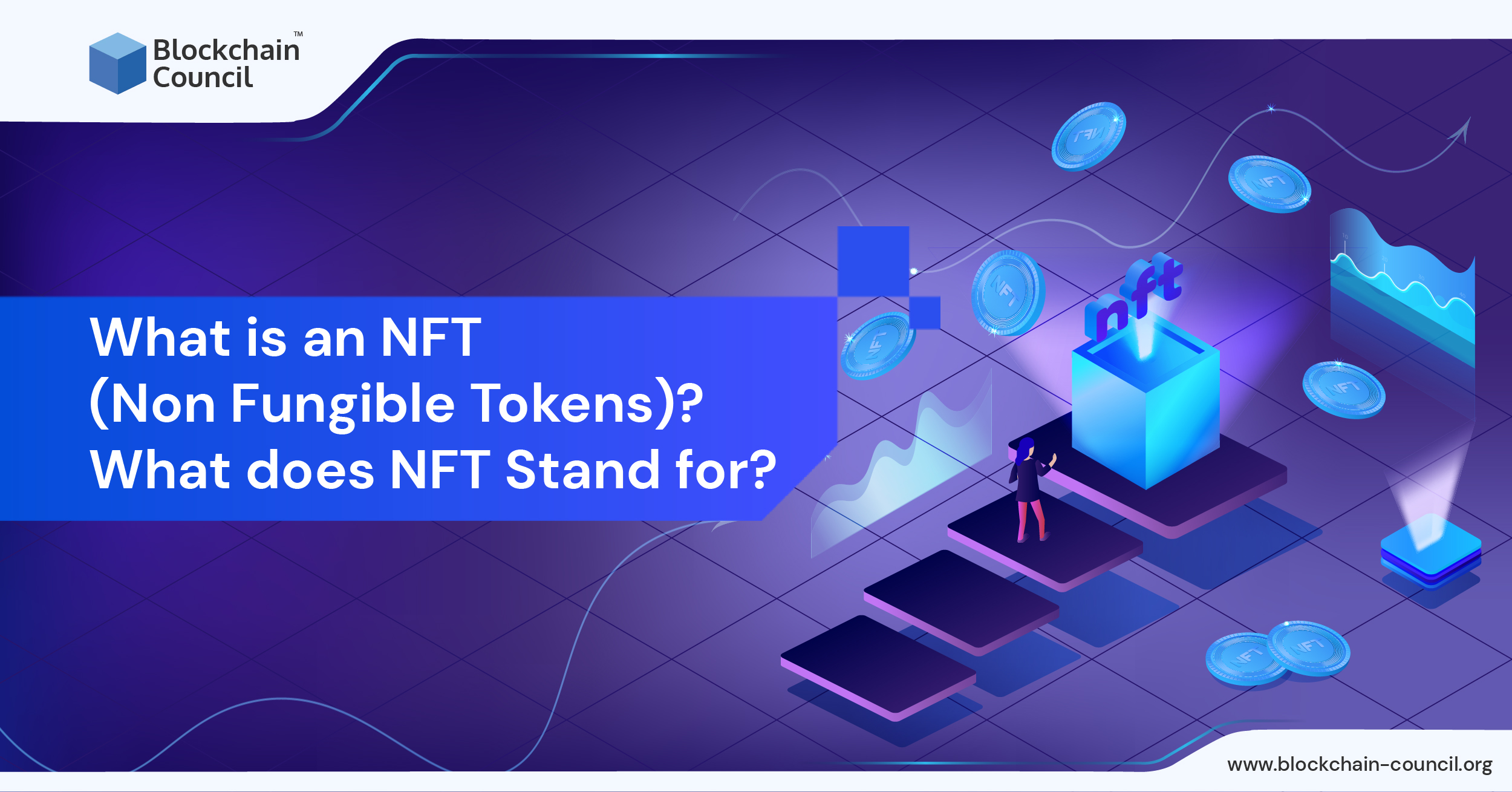 nft blockchain meaning