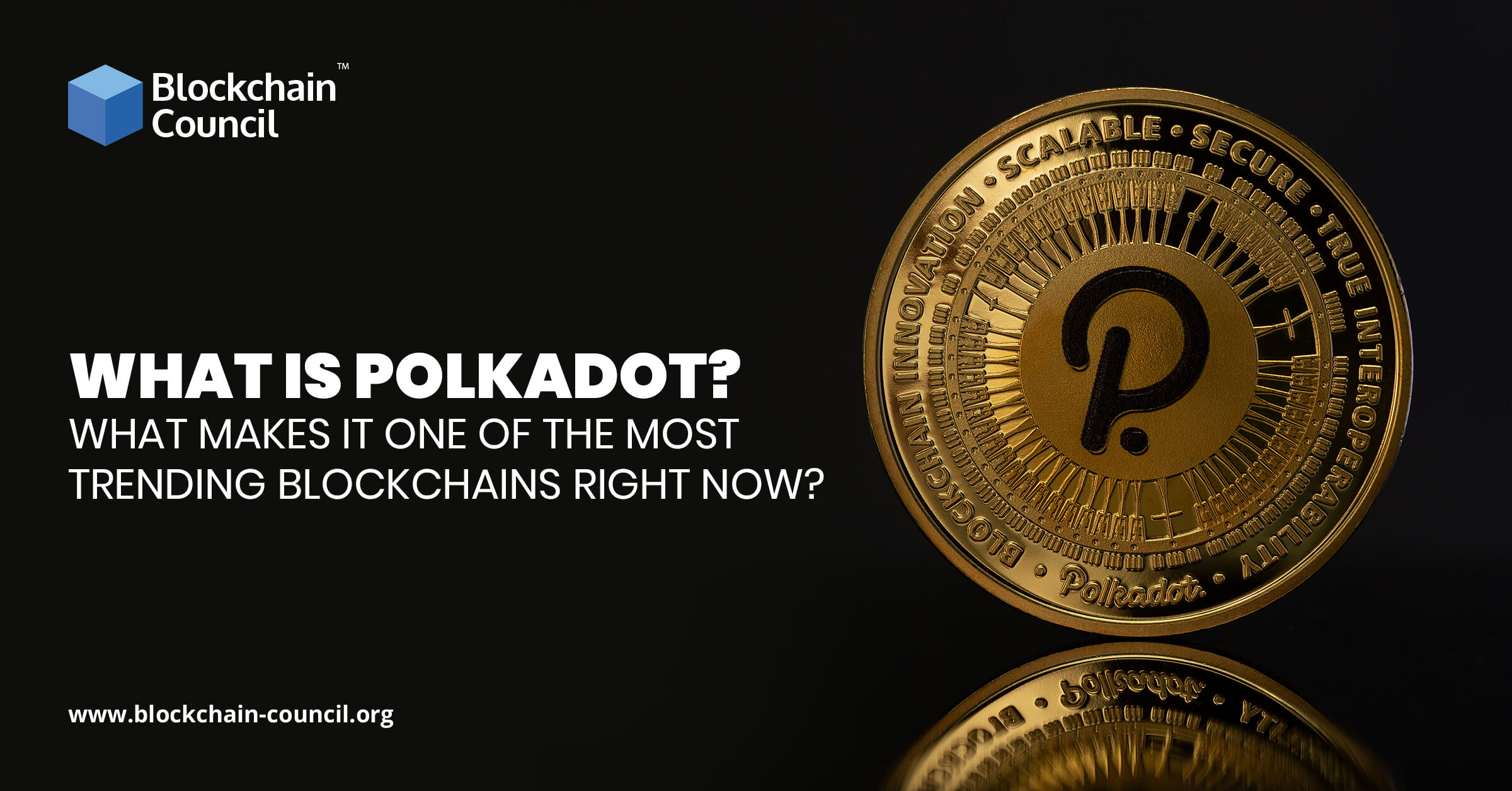 What is Polkadot What makes it one of the most trending blockchains right now