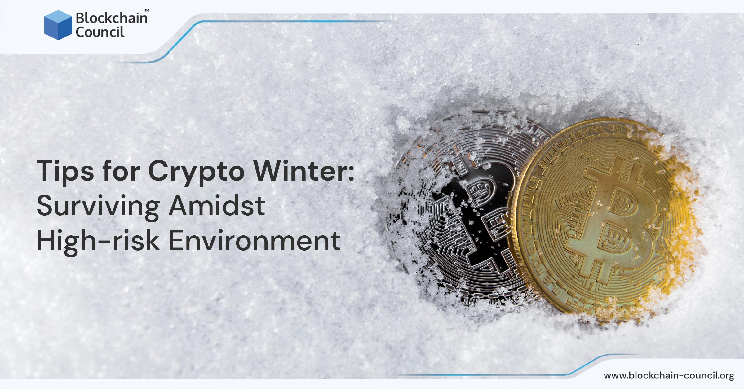 Tips for Crypto Winter Surviving Amidst Highrisk Environment