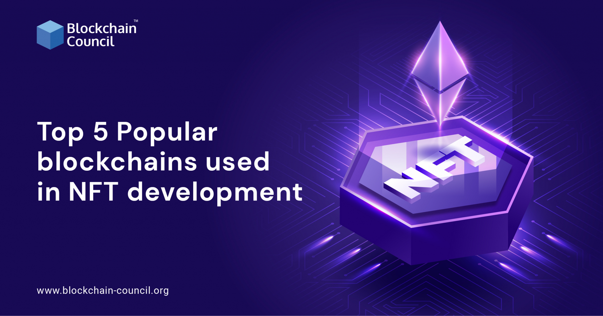 most popular nft blockchain