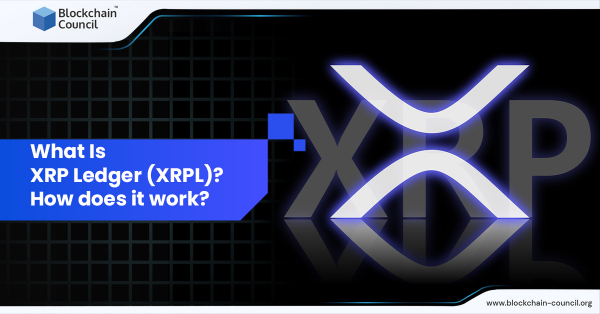 Xrp Ledger Xrpl