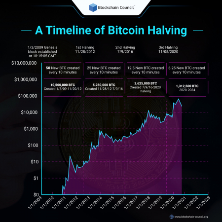 The Ultimate Bitcoin Halving Countdown Guide: Everything You Need To ...