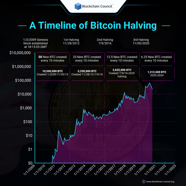 The Ultimate Bitcoin Halving Countdown Guide Everything You Need to