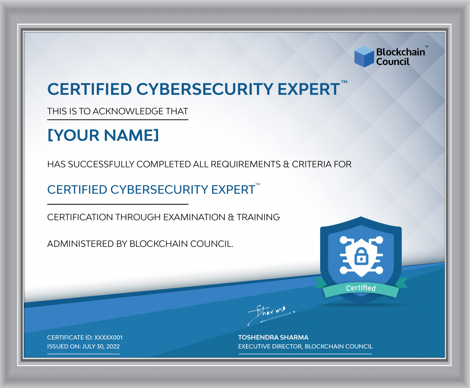 Certified Cybersecurity Expert™ Interactive Live Training