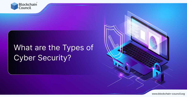 What are the Types of Cyber Security? - Blockchain Council