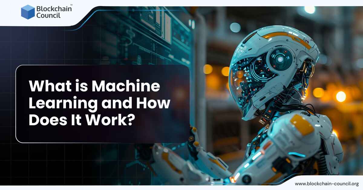 What is Machine Learning and How Does It Work?