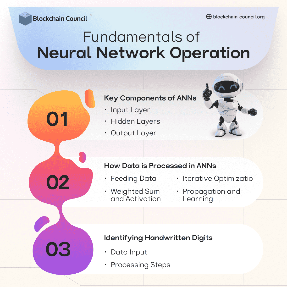 Fundamentals of Neural Network Operation