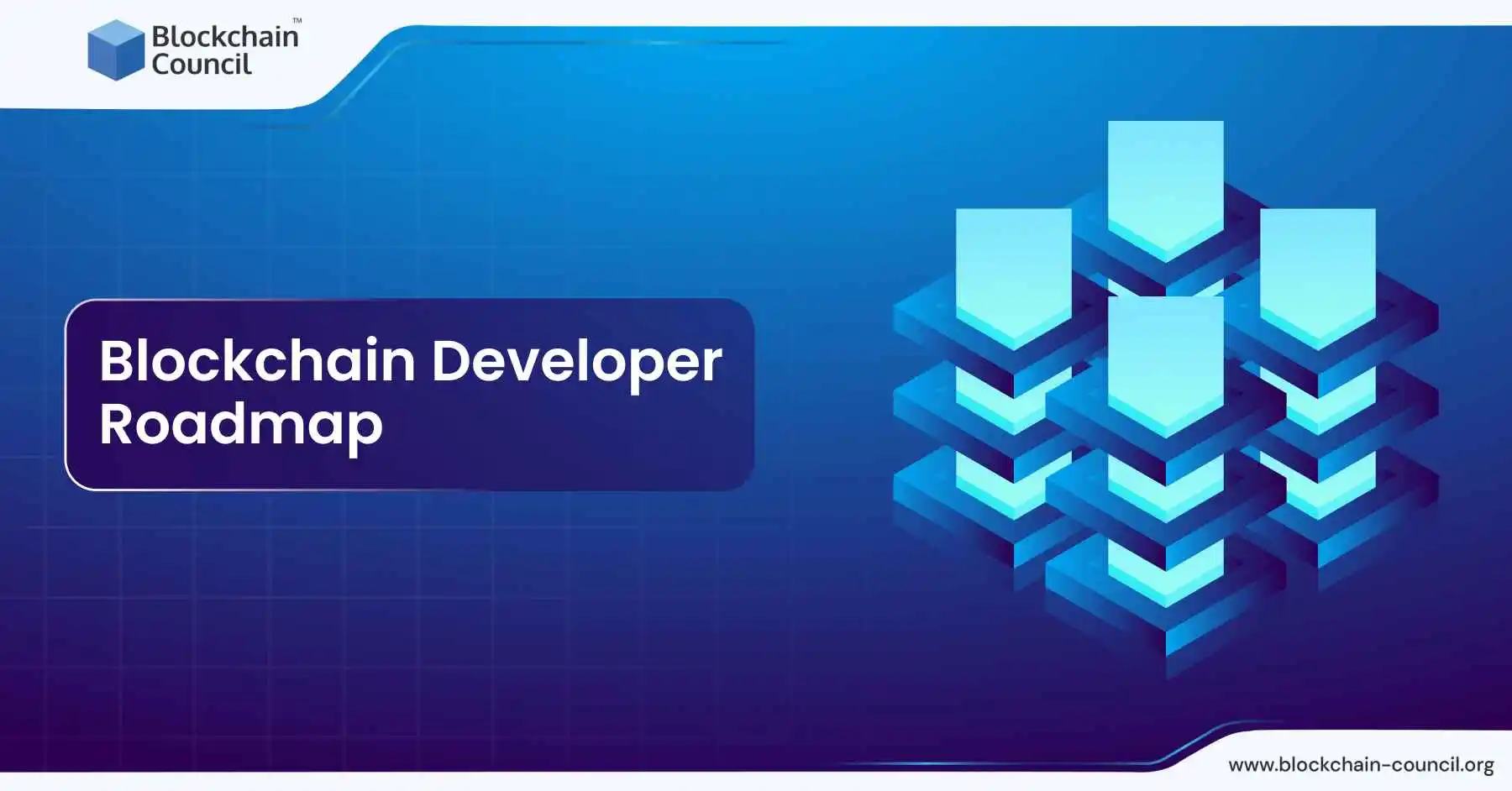 Blockchain Developer Roadmap 2025