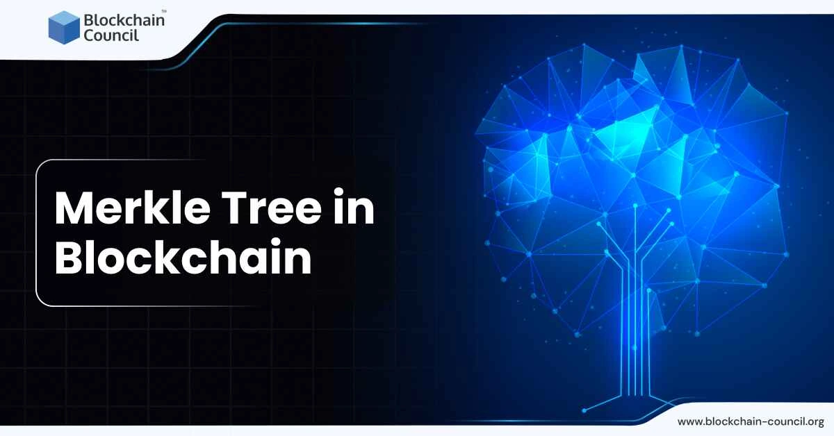 Merkle tree in Blockchain