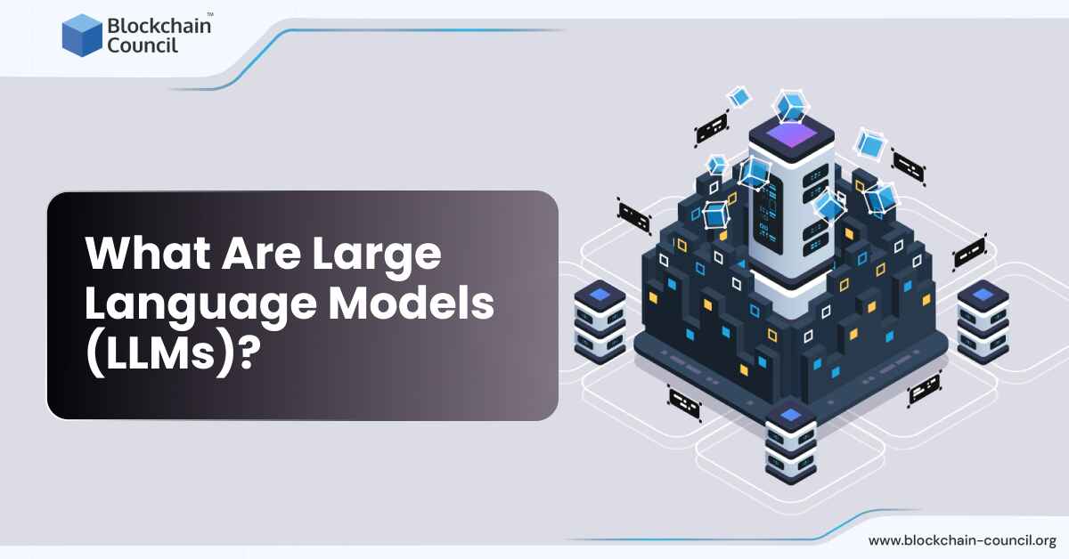 What Are Large Language Models (LLMs)?