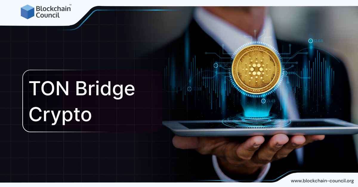 TON Bridge Crypto