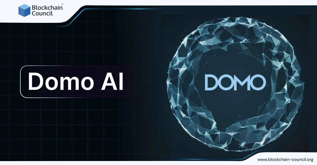 Domo AI