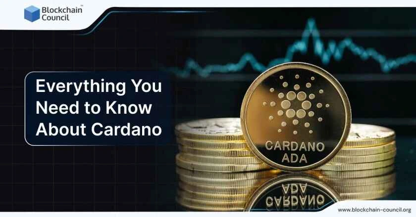 Cardano