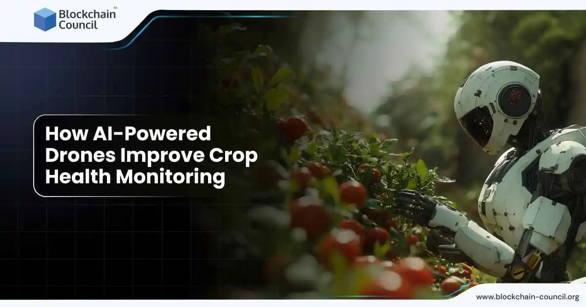 How AI-Powered Drones Improve Crop Health Monitoring