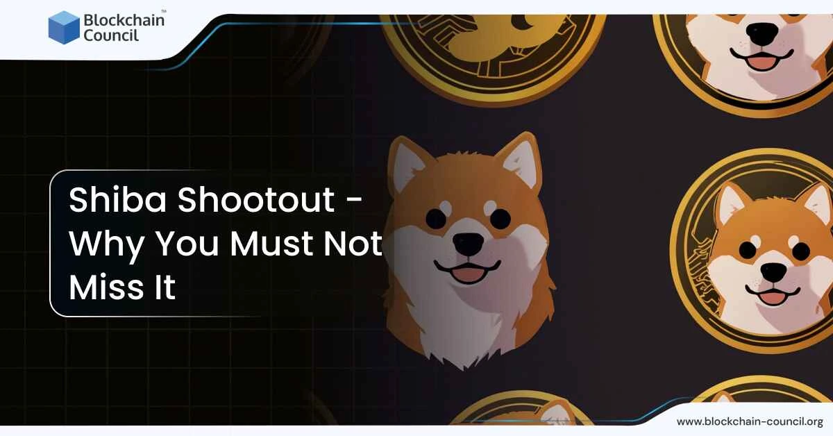 Shiba Shootout