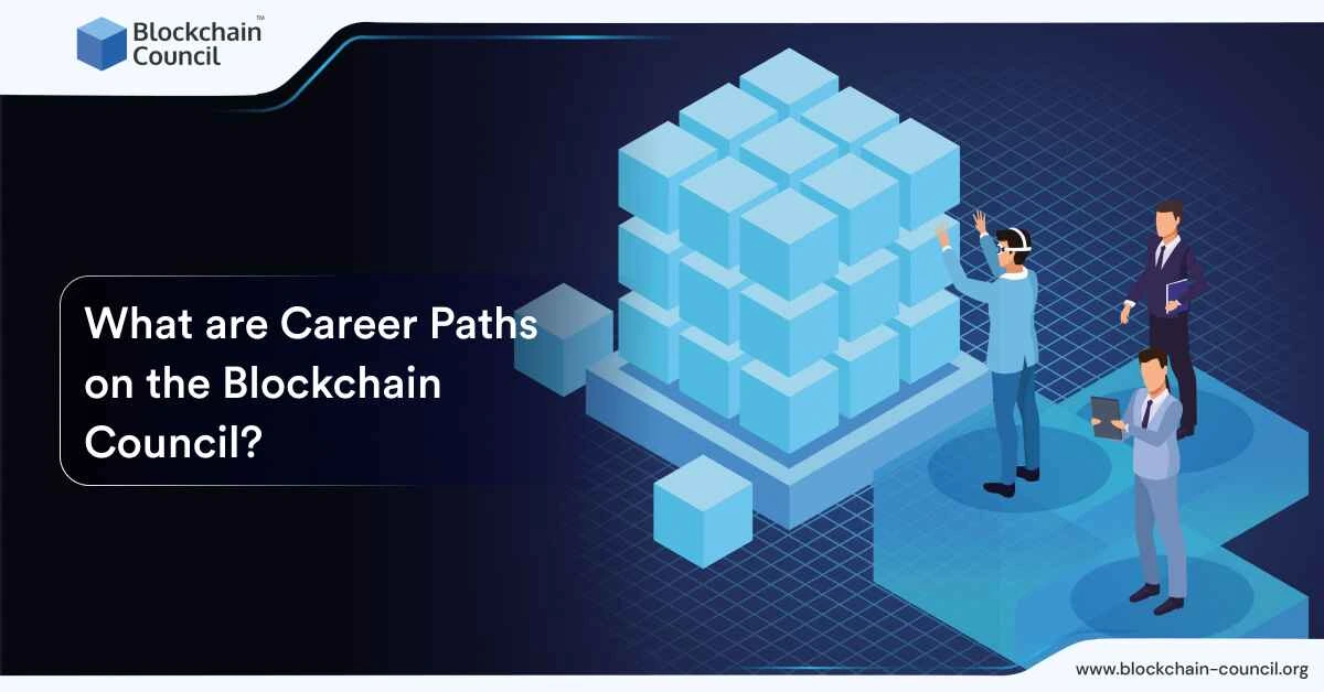 What are Career Paths on the Blockchain Council?