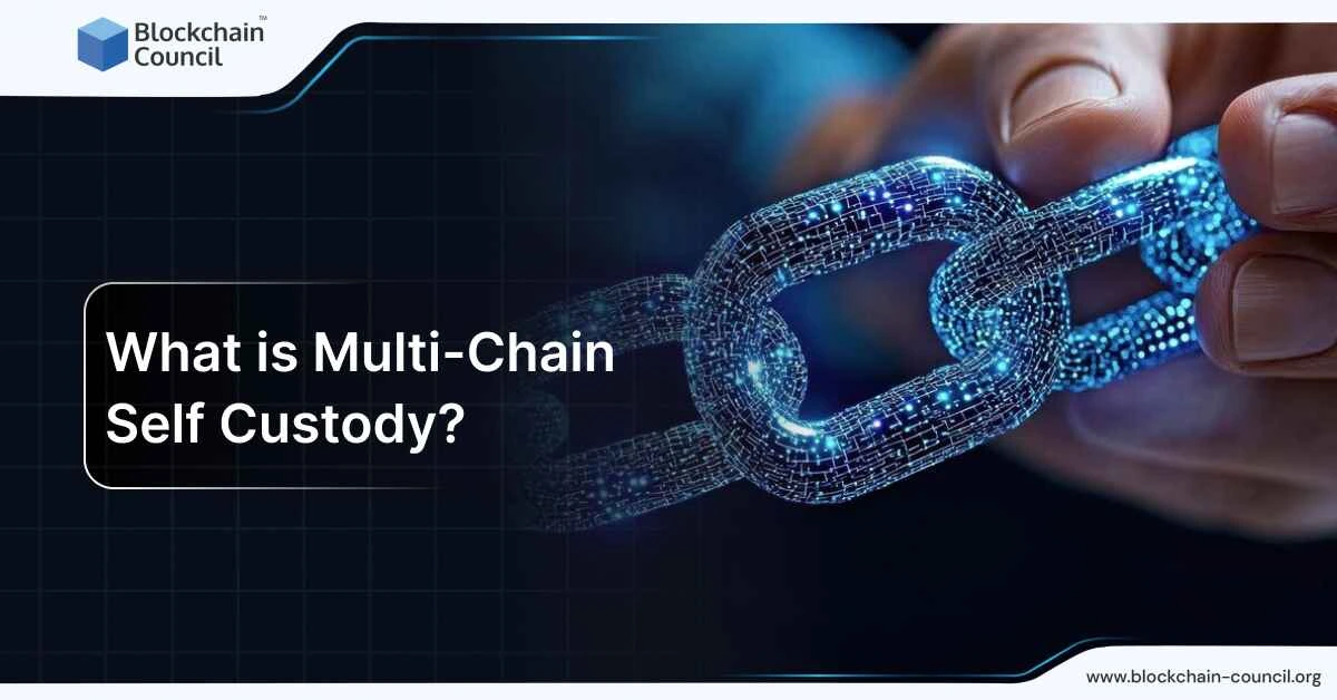 What is Multi-Chain Self-Custody?