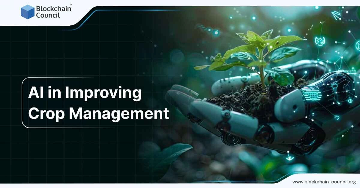 AI in Improving Crop Management