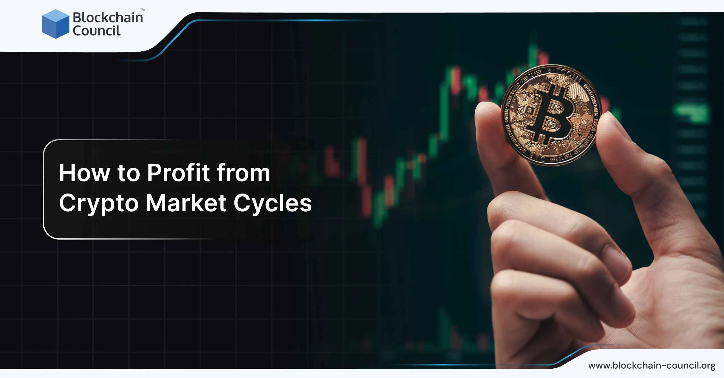 How to Profit from Crypto Market Cycles: Bear vs Bull Markets