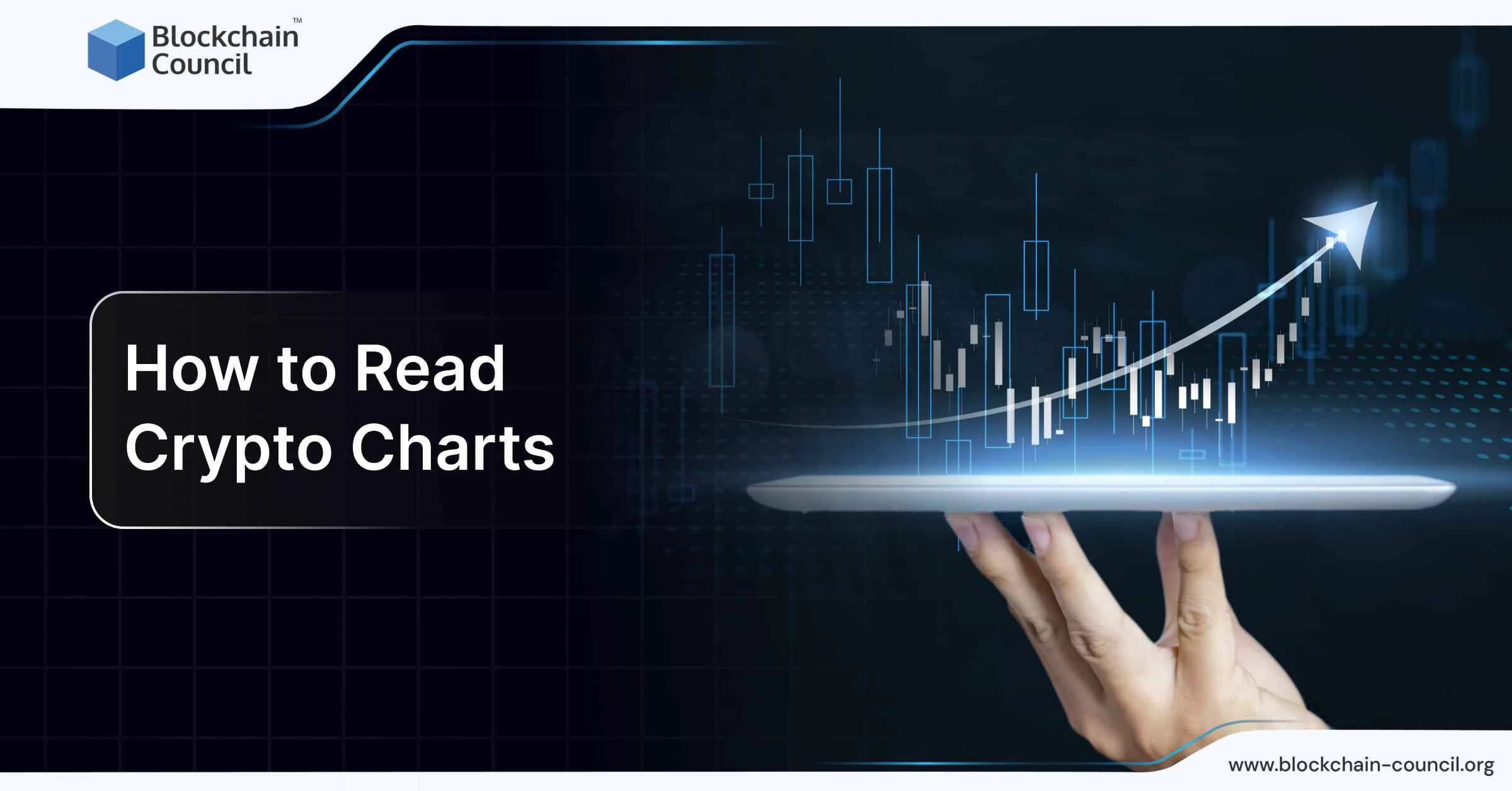 How to Read Crypto Charts