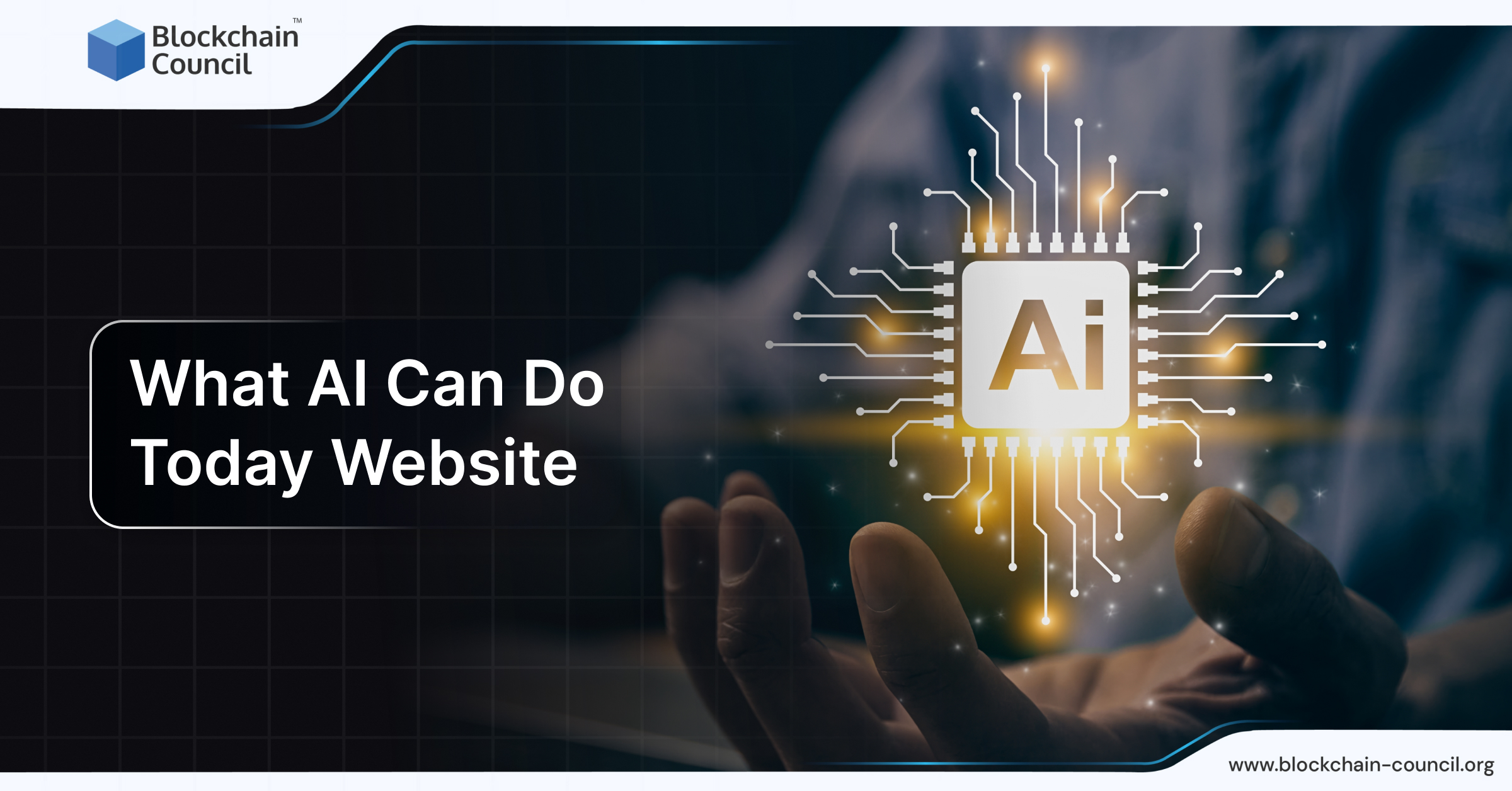 What AI Can Do Today Website