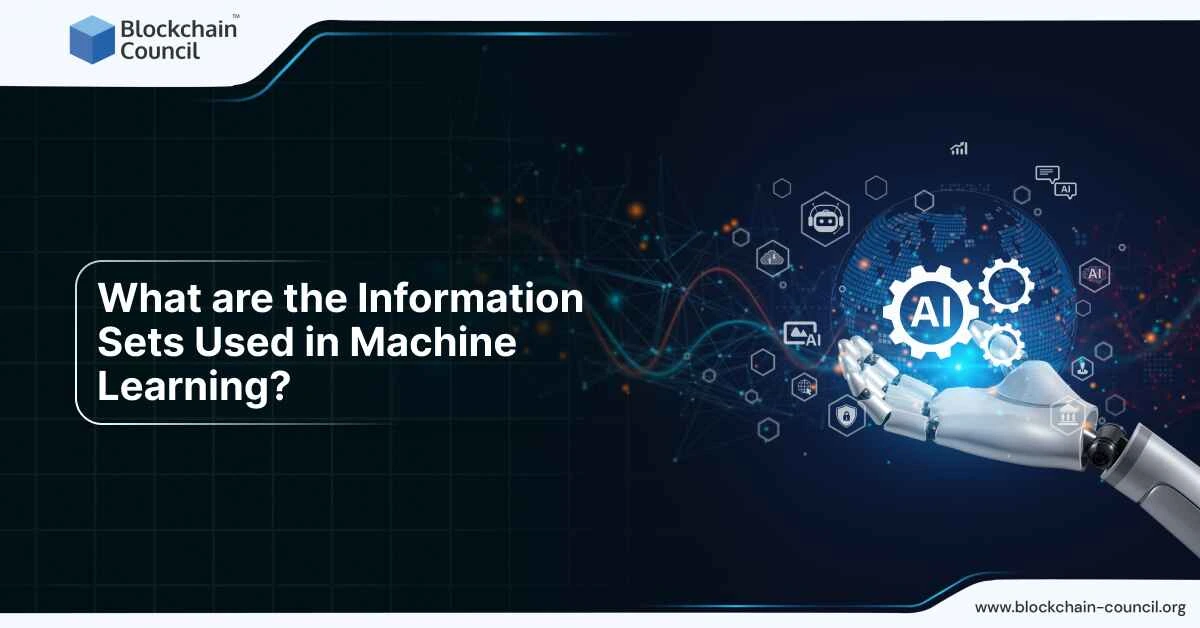 What are the Information Sets Used in Machine Learning?